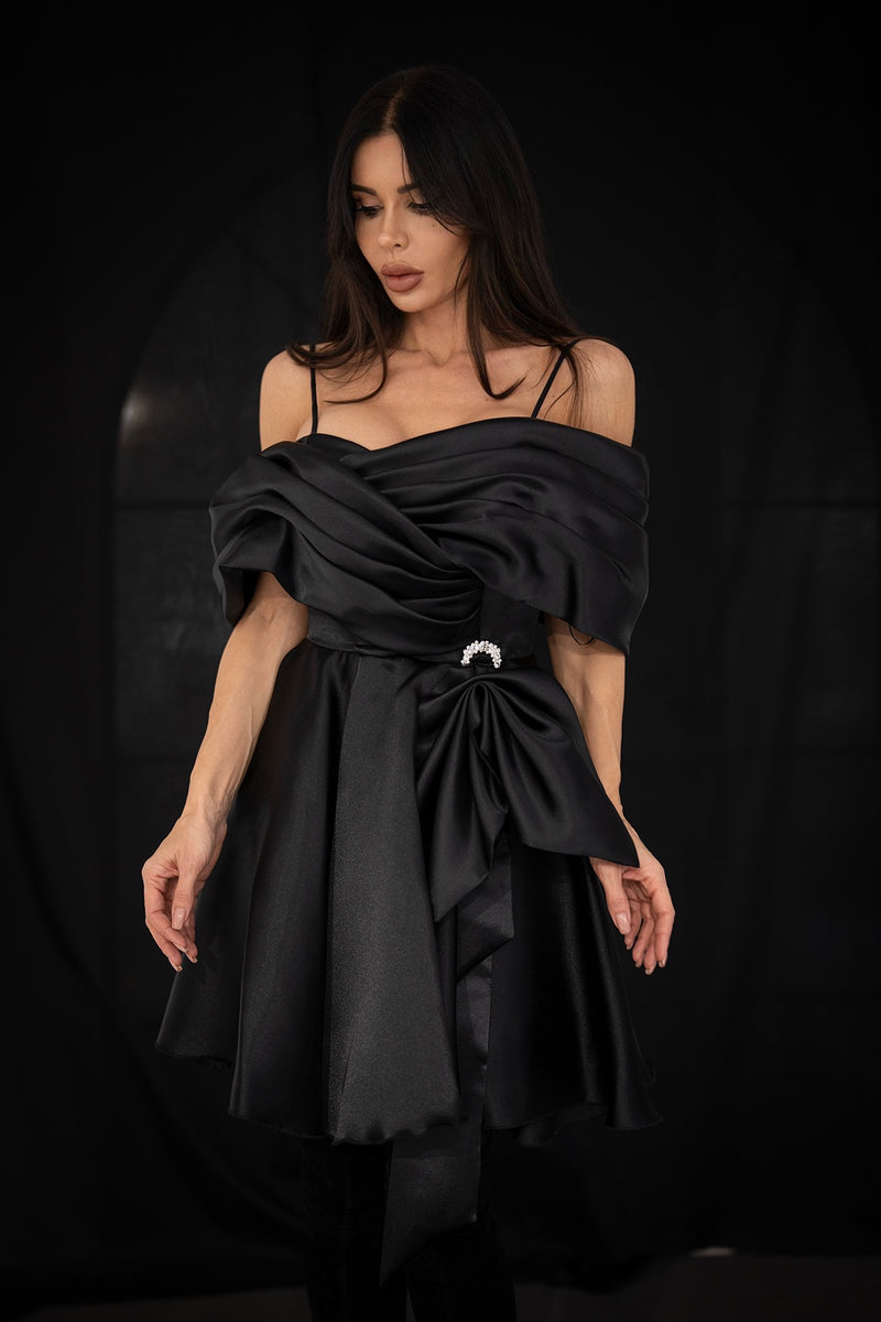 Sidney în rochie neagră