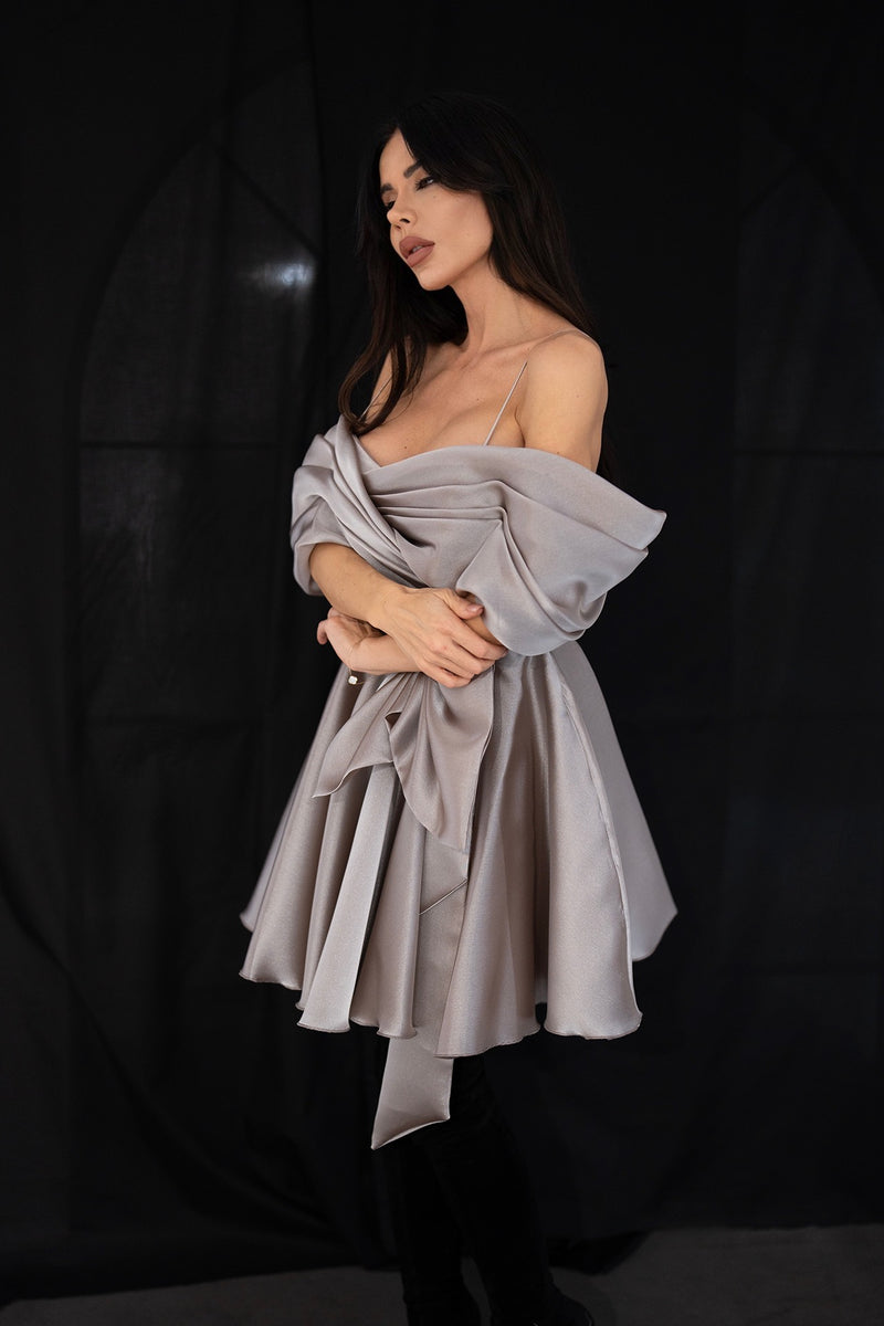 Sidney în rochie de argint